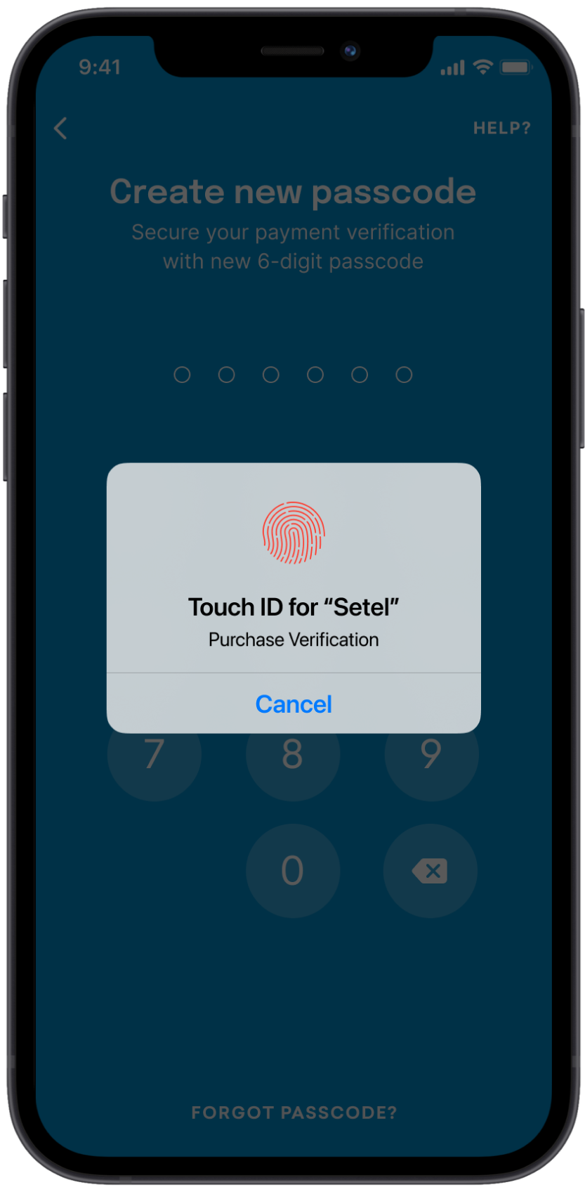 touch_id_biometric.png